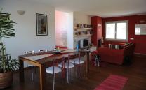 Home Portfolio