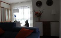 Home Portfolio